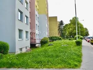 Pronájem bytu 3+1, Praha - Čimice, Křivenická, 72 m2