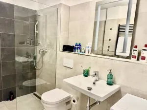 Pronájem bytu 1+kk, Brno - Brno-město, Kobližná, 50 m2