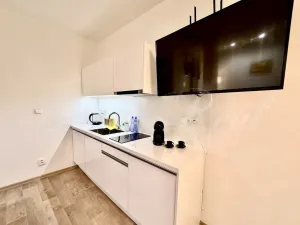 Pronájem bytu 1+kk, Brno - Brno-město, Kobližná, 50 m2