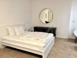 Pronájem bytu 1+kk, Brno - Brno-město, Kobližná, 50 m2