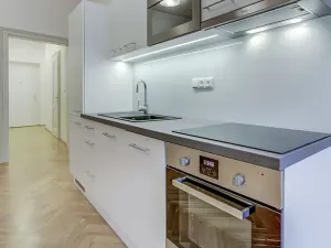 Pronájem bytu 1+kk, Praha, Myslíkova, 43 m2