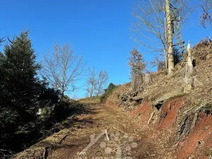 Prodej louky, Bozkov, 14441 m2