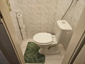 Pronájem bytu 2+kk, Praha - Žižkov, Čajkovského, 68 m2