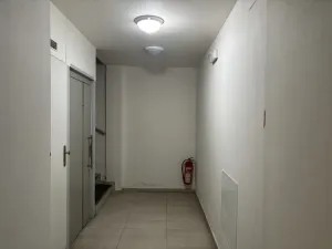 Pronájem bytu 2+kk, Brno, Cejl, 61 m2