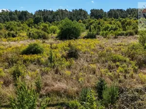 Prodej pozemku pro bydlení, Praha, 805 m2