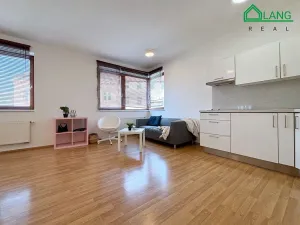 Pronájem bytu 1+kk, Brno, Křídlovická, 31 m2