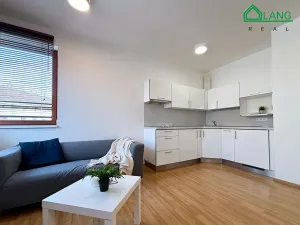 Pronájem bytu 1+kk, Brno, Křídlovická, 31 m2