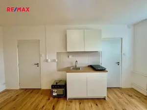 Pronájem bytu 1+kk, Liberec, Dvorská, 23 m2