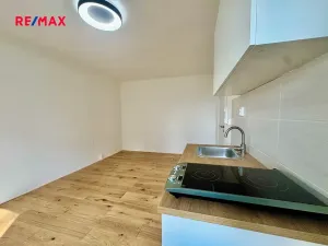 Pronájem bytu 1+kk, Liberec, Dvorská, 23 m2