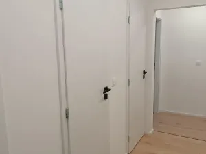 Prodej bytu 2+1, Brno, Souběžná, 56 m2