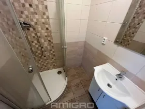 Pronájem bytu 1+1, Brno, Brožíkova, 37 m2