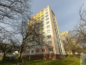 Prodej bytu 2+1, Litvínov, Tylova, 53 m2