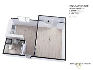 Pronájem bytu 1+1, Brno, Vavřinecká, 35 m2