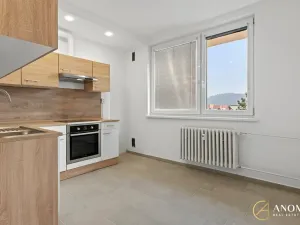 Pronájem bytu 1+1, Brno, Vavřinecká, 35 m2