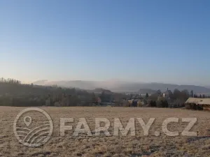 Prodej louky, Meziměstí, 696000 m2