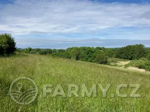 Prodej pole, Kouřim, 12974 m2