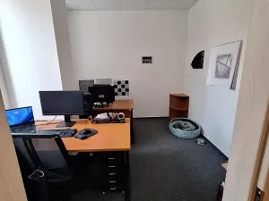 Pronájem kanceláře, Brno, Jana Babáka, 51 m2