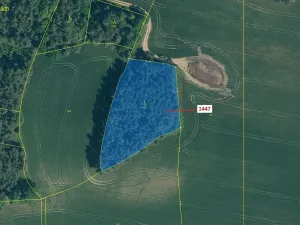 Dražba lesa, Hradiště, 4542 m2