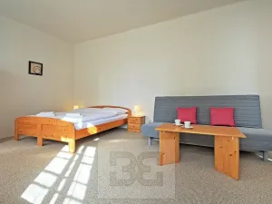 Pronájem bytu 2+kk, Praha - Nové Město, V jirchářích, 47 m2