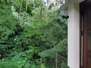 Prodej chaty, Davle, V kruhovce, 70 m2