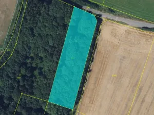 Prodej lesa, Brodek u Konice, 4676 m2