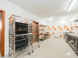 Pronájem výrobních prostor, Zlonín, Hlavní, 50 m2