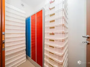 Pronájem výrobních prostor, Zlonín, Hlavní, 50 m2