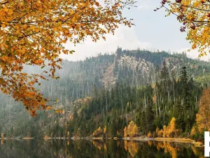 Prodej pozemku pro bydlení, Horní Planá, 894 m2