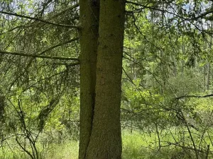 Prodej podílu pozemku, Suchdol, 3247 m2