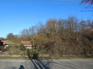 Prodej pozemku pro bydlení, Blevice, 1000 m2