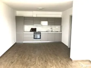 Pronájem bytu 1+kk, Olomouc, Dolní novosadská, 43 m2