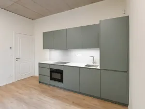 Prodej bytu 3+kk, Praha - Nusle, Boleslavova, 58 m2