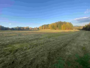 Prodej pole, Cvikov - Trávník, 7470 m2