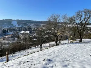 Prodej pozemku pro bydlení, Česká Třebová, 6000 m2