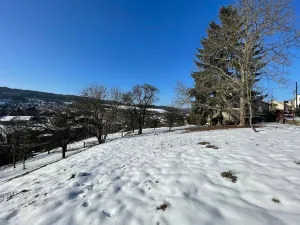 Prodej pozemku pro bydlení, Česká Třebová, 6000 m2