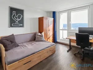 Prodej bytu 2+1, Brno, Horácké náměstí, 71 m2