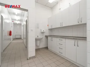 Pronájem obchodního prostoru, Plzeň, 181 m2