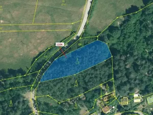 Dražba lesa, Plasy, 1489 m2