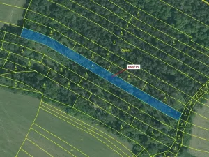 Dražba lesa, Milavče, 4689 m2