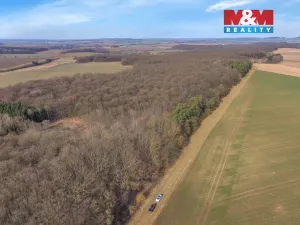 Prodej lesa, Slatiny, 6169 m2