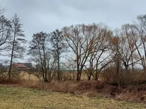 Prodej podílu louky, Podluhy, 1240 m2