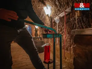 Prodej vinného sklepa, Chvalovice, 62 m2