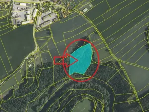 Prodej lesa, Přísečná, 15088 m2