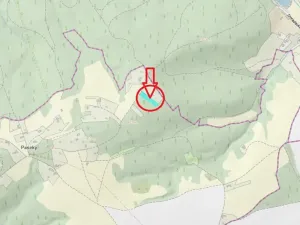 Prodej lesa, Stříbrnice, 2595 m2