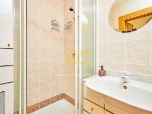 Prodej bytu 1+kk, Horní Planá, Jenišov, 43 m2