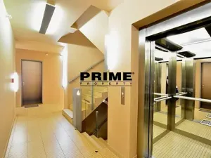 Pronájem bytu 2+kk, Praha - Žižkov, Prokopova, 58 m2