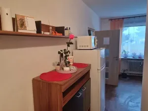 Pronájem bytu 1+1, Krupka, Teplická, 36 m2