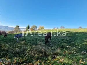 Prodej pozemku, Jablunkov, 1994 m2