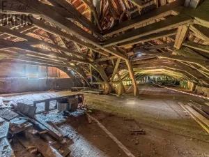 Prodej komerční, Buzice, 1800 m2