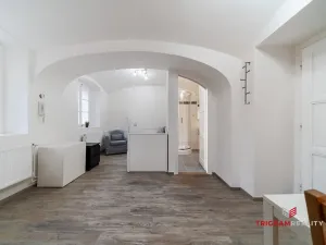 Pronájem bytu 1+kk, Hradec Králové, Dlouhá, 25 m2